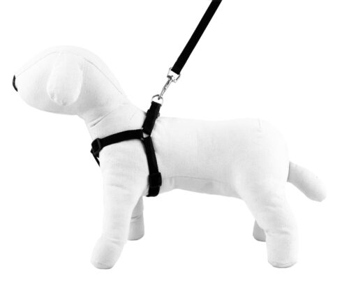 kpl-smycz-szel-glad-happet-st53-czarne-2cm