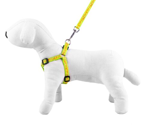 kpl-smycz-szelki-nt-happet-sd53-kw-ziel-2cm