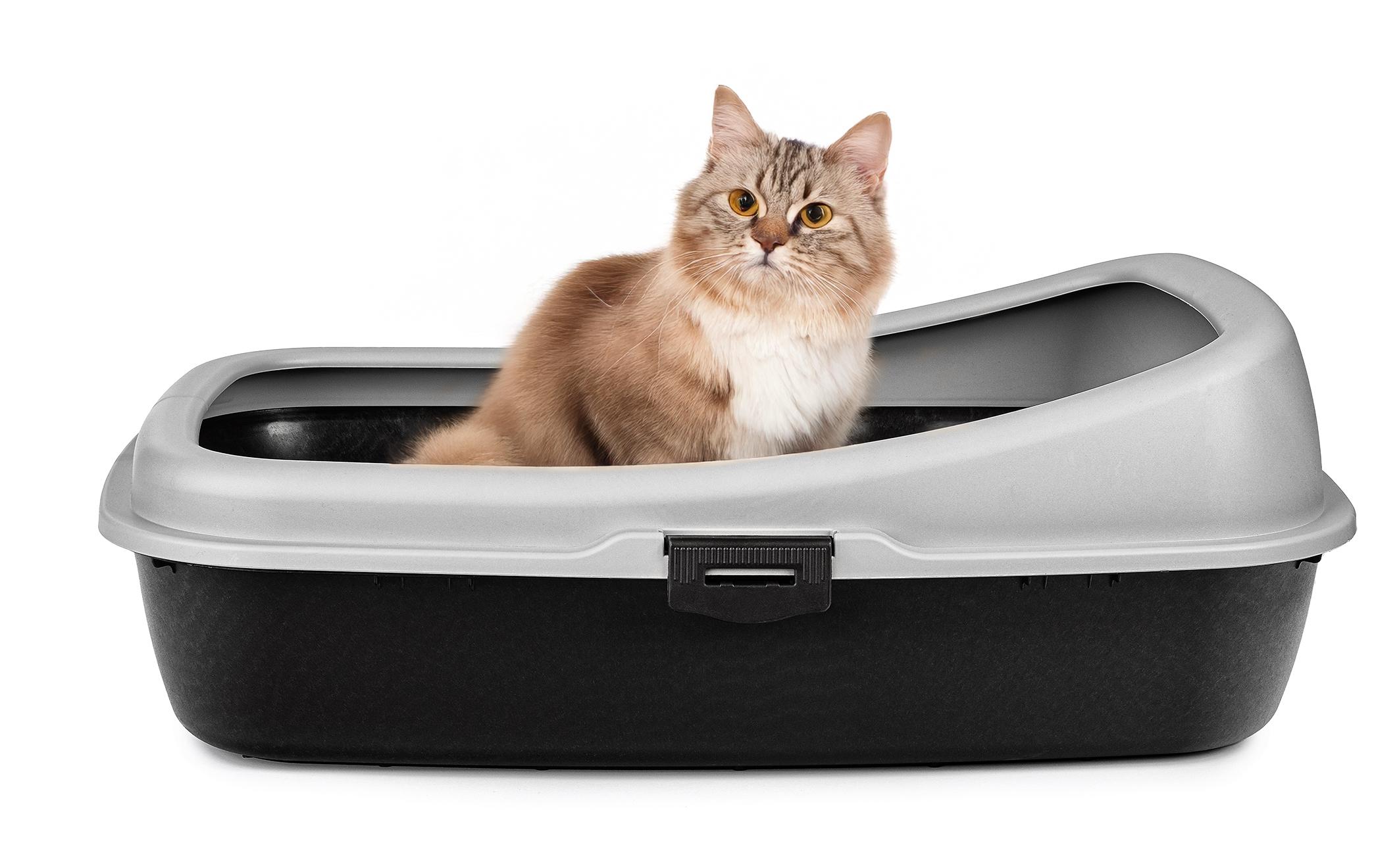 kuweta-classic-szary-czarny