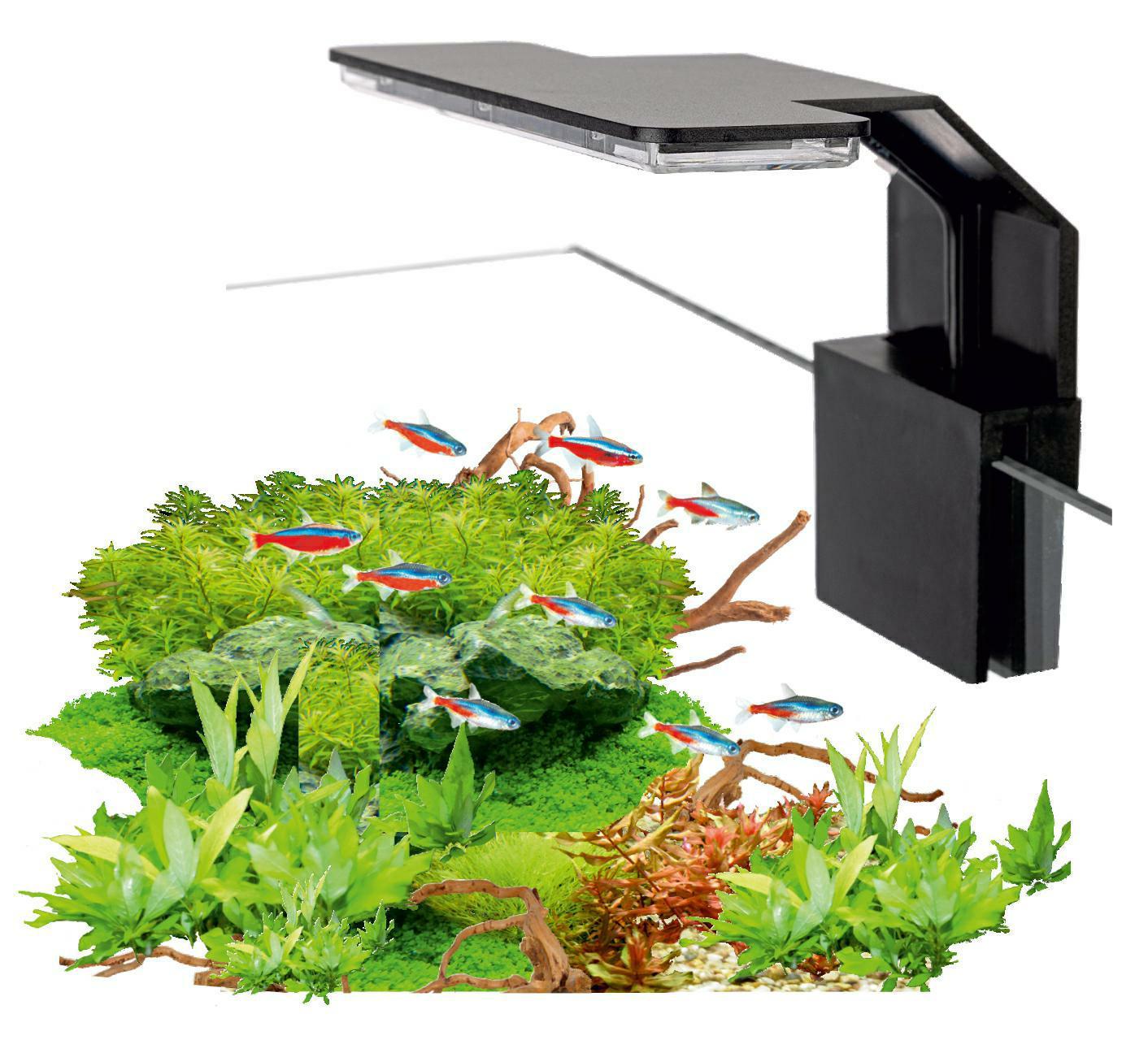 lampa-aqualed-mini-black-6w