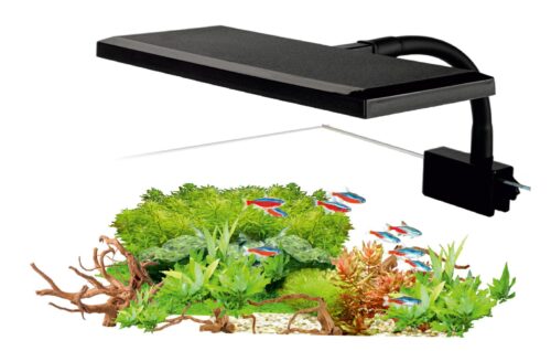 lampa-aqualed-plant-color-17w