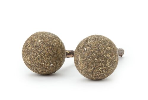 matatabi-kocimietka-lizak