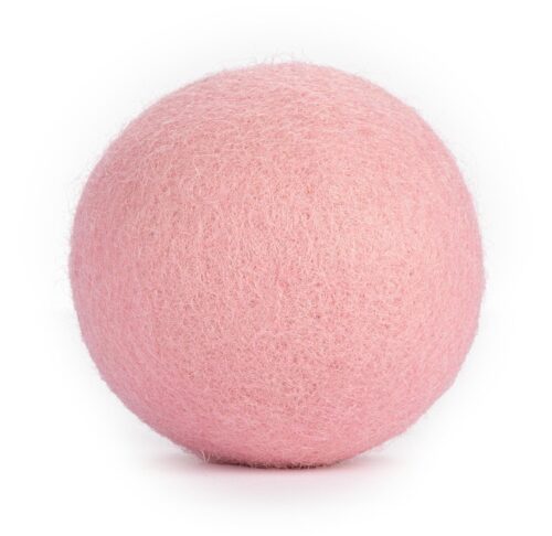 matatabi-kocimietka-miekkie-kulki