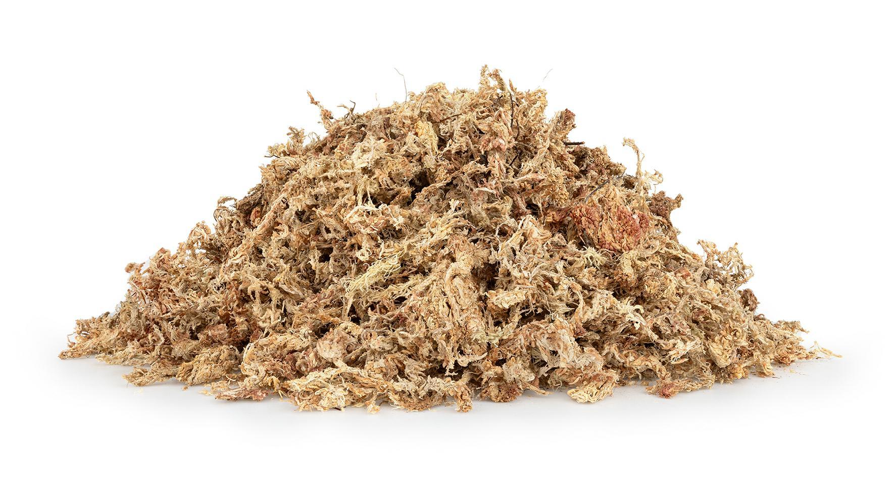 mech-torfowiec-sphagnum-moss-100g