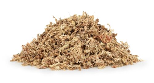 mech-torfowiec-sphagnum-moss-25g