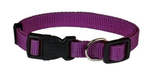 obroza-gladka-happet-sa24-fioletowa-2-5cm