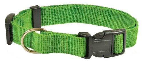 obroza-gladka-happet-su24-zielona-2-5cm