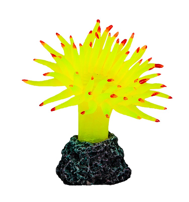 ozdoba-akwariowa-happet-r084-koral-8-cm