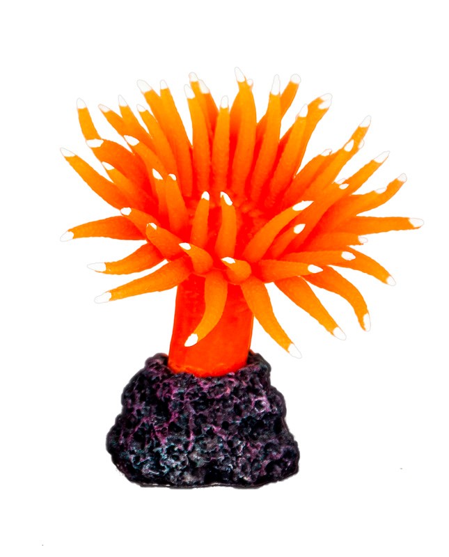 ozdoba-akwariowa-happet-r085-koral-8-cm