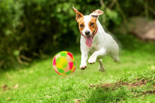 pilka-figury-happet-57mm-mix-kolor