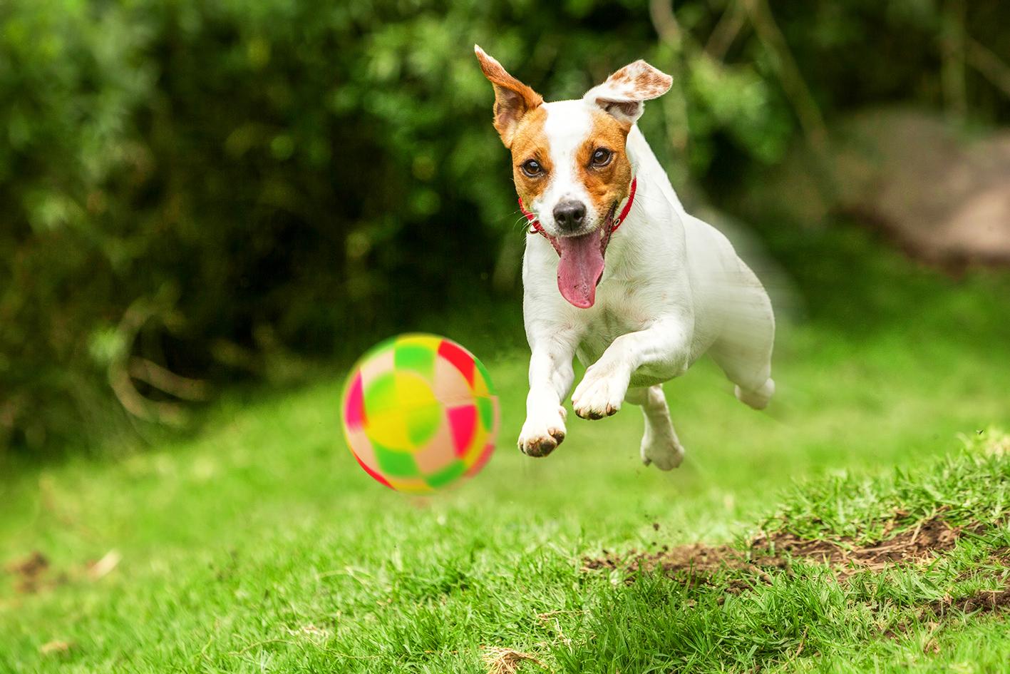 pilka-figury-happet-57mm-mix-kolor