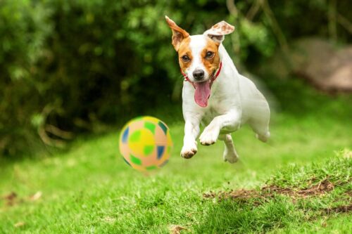 pilka-figury-happet-57mm-mix-kolor