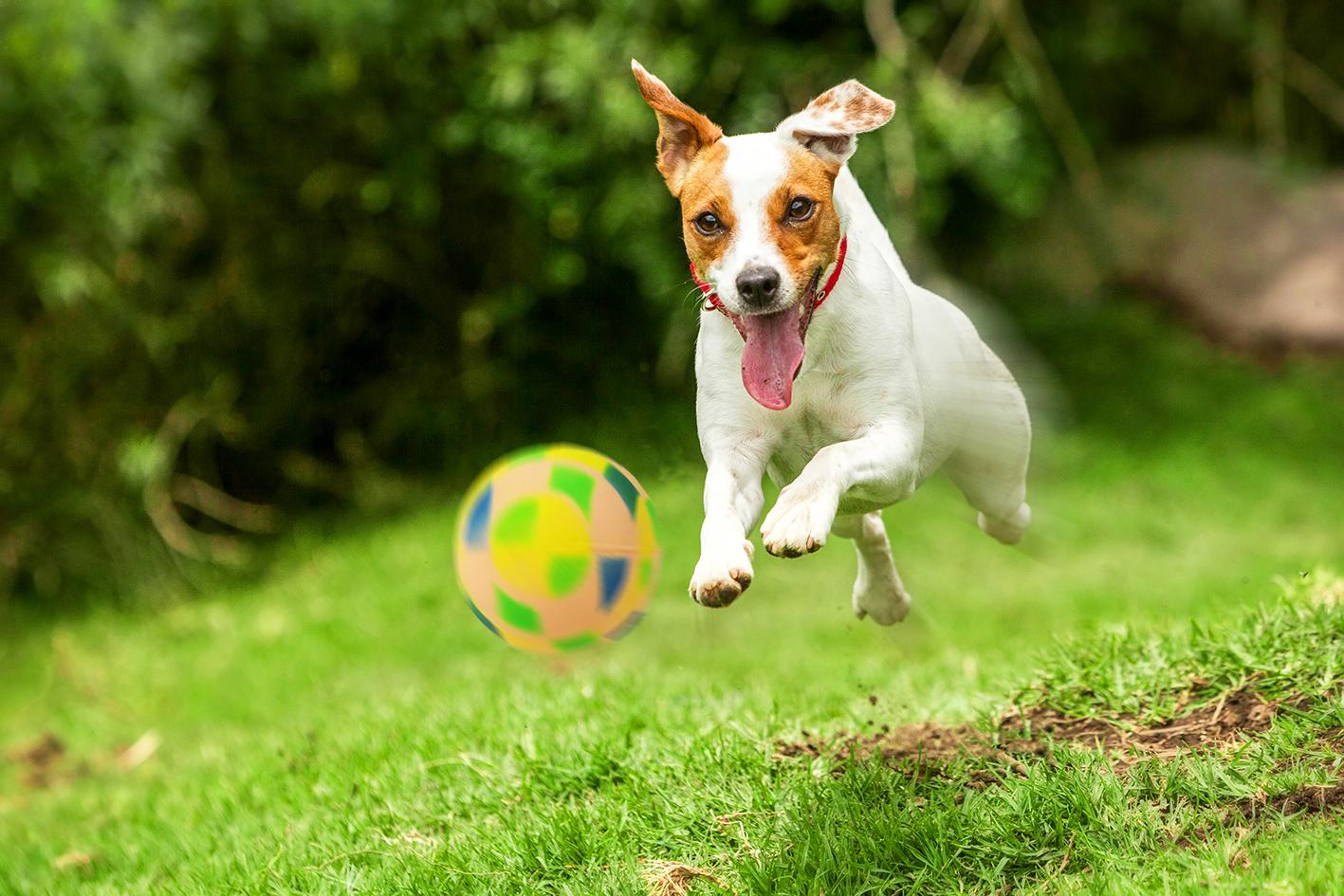 pilka-figury-happet-57mm-mix-kolor