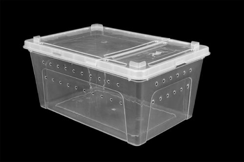 pojemnik-hodowlany-breeding-box-19-cm