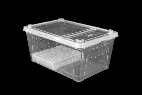 pojemnik-hodowlany-breeding-box-z-platforma-19-cm