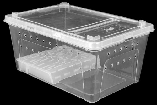 pojemnik-hodowlany-breeding-box-z-platforma-38-cm