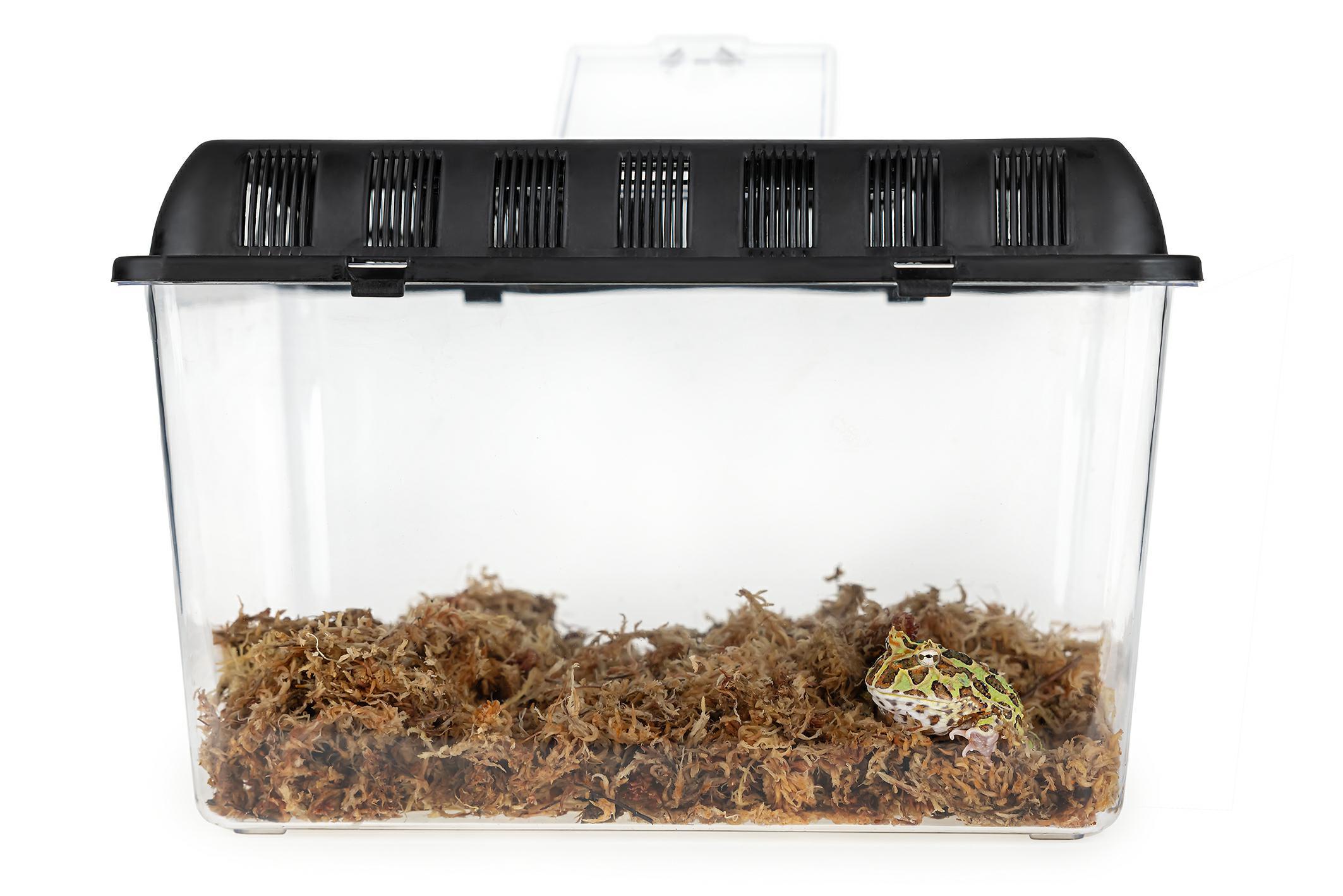 pojemnik-hodowlany-terra-box-20-cm