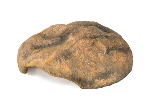 r168-kryjowka-terrarium-xl