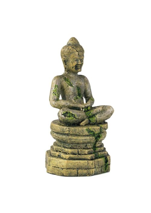r169-ozdoba-hindu-terra-buddha