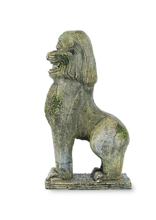 r172-ozdoba-hindu-terra-posag