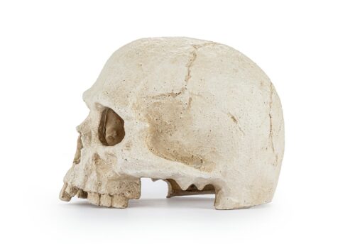 r177-ozdoba-terrarium-czaszka