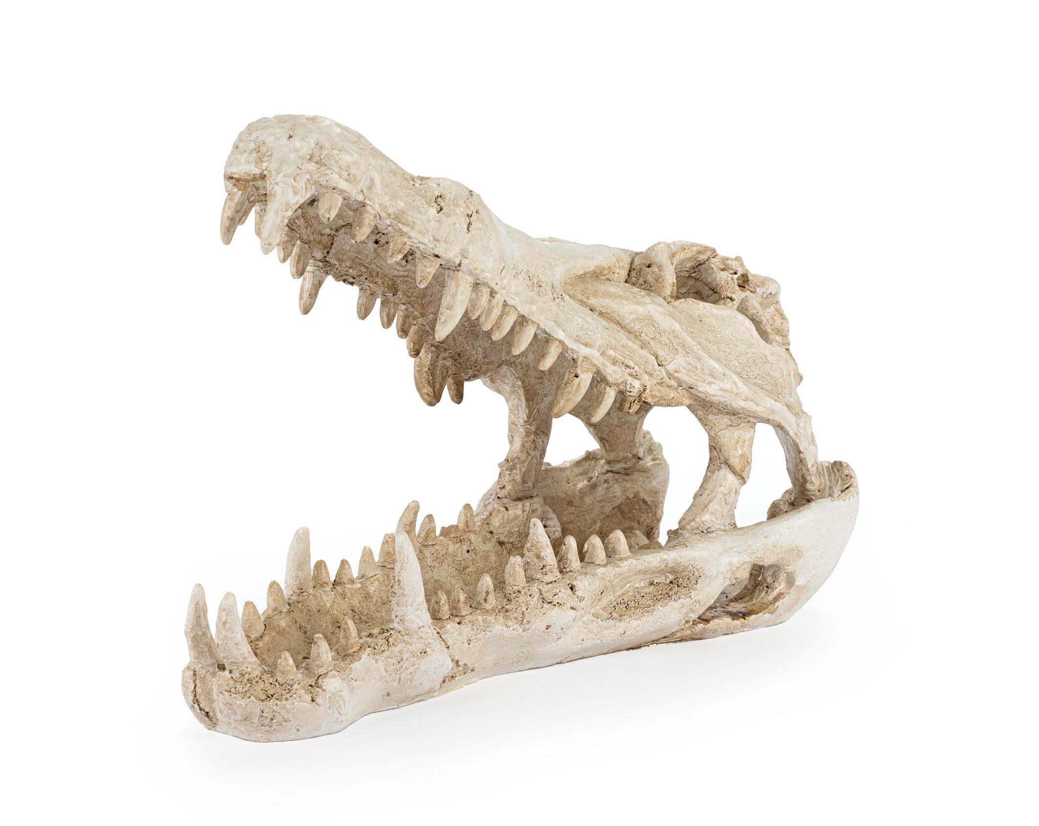 r178-ozdoba-terrarium-czaszka-krokodyla