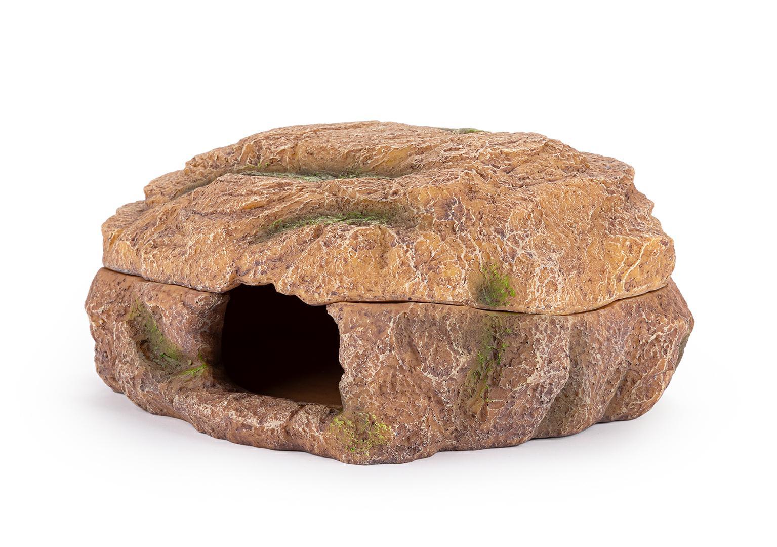 r179-jaskinia-mokra-kryjowka-terrarium