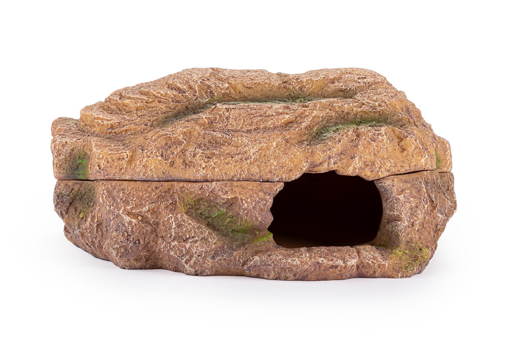 r179-jaskinia-mokra-kryjowka-terrarium