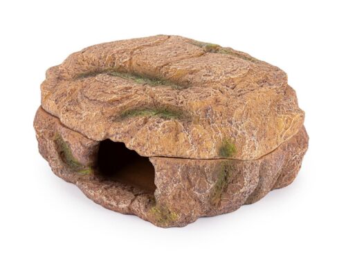 r179-jaskinia-mokra-kryjowka-terrarium