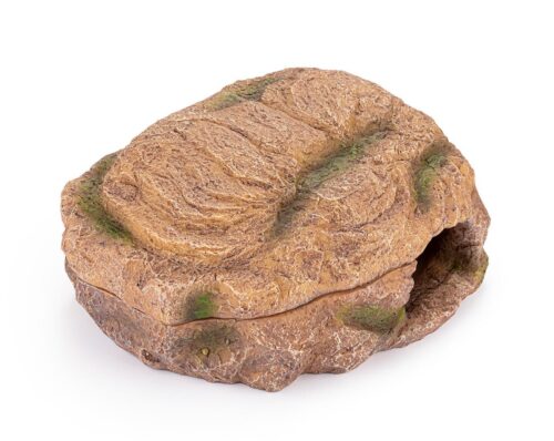 r179-jaskinia-mokra-kryjowka-terrarium