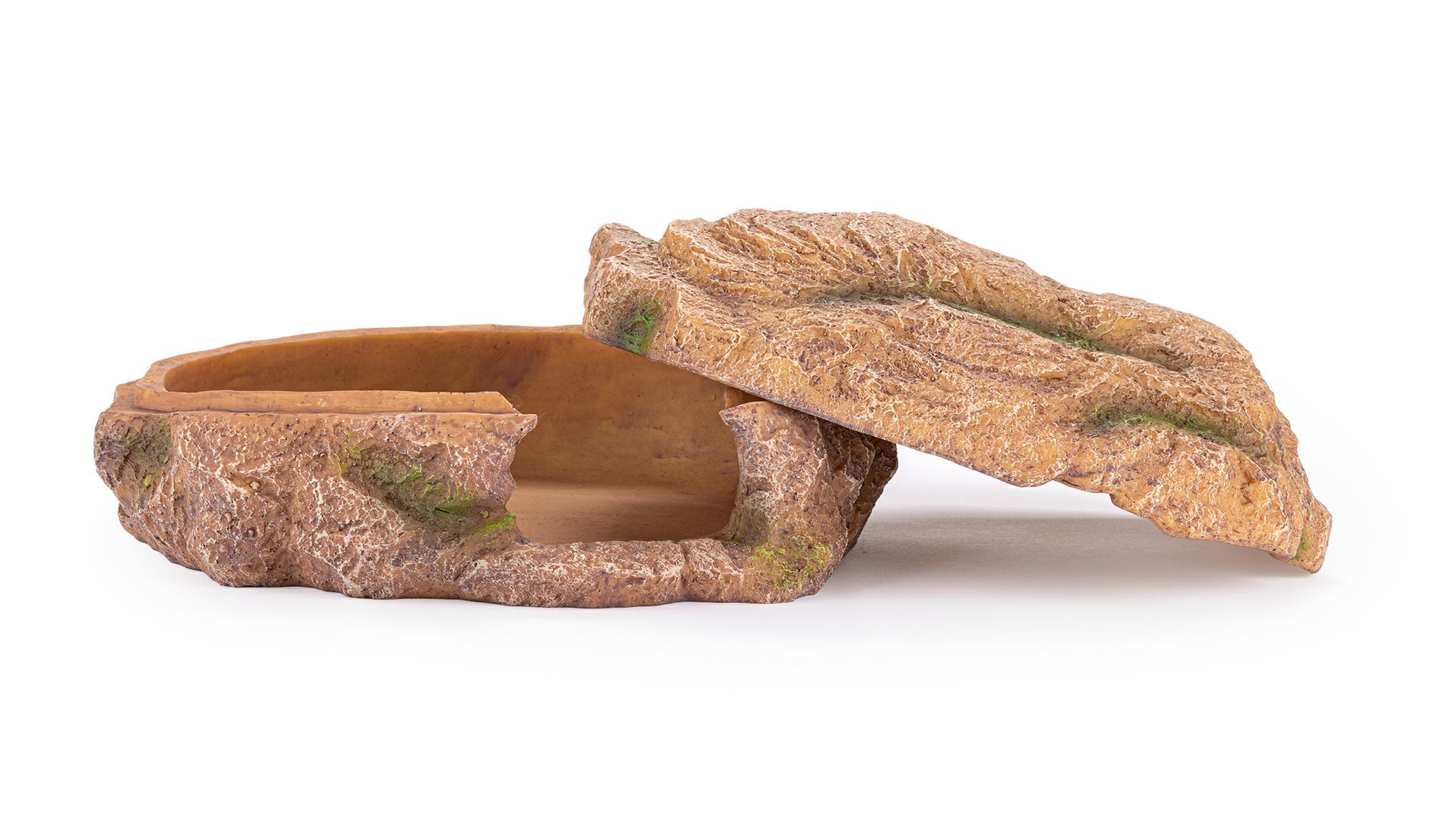 r179-jaskinia-mokra-kryjowka-terrarium