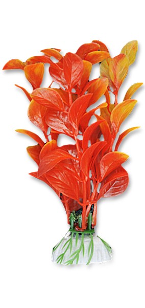 roslina-blister-10cm-1b02-happet