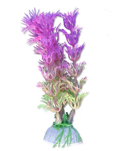 roslina-blister-10cm-1b07-happet