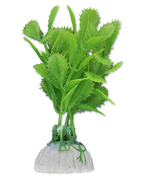 roslina-blister-10cm-1b09-happet