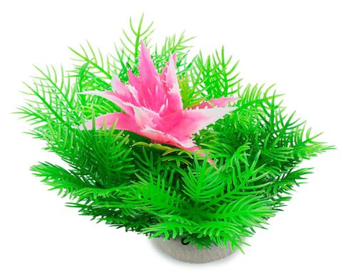 roslina-folia-10cm-1f12-happet