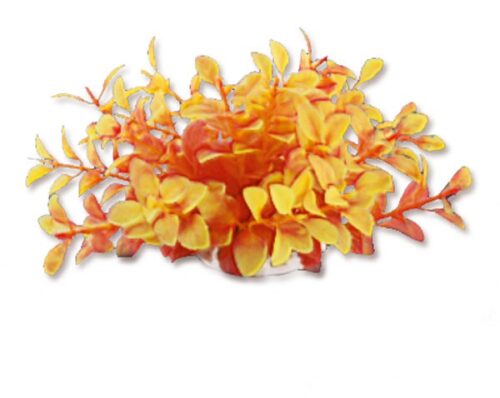 roslina-folia-10cm-1f14-happet