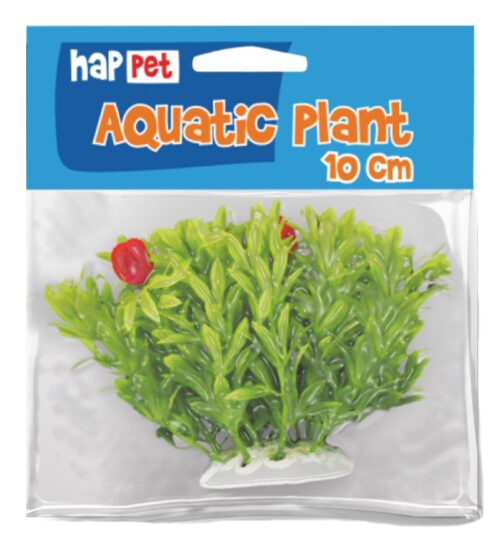 roslina-folia-10cm-1f14-happet