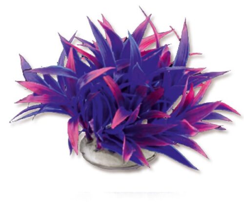 roslina-folia-10cm-1f25-happet