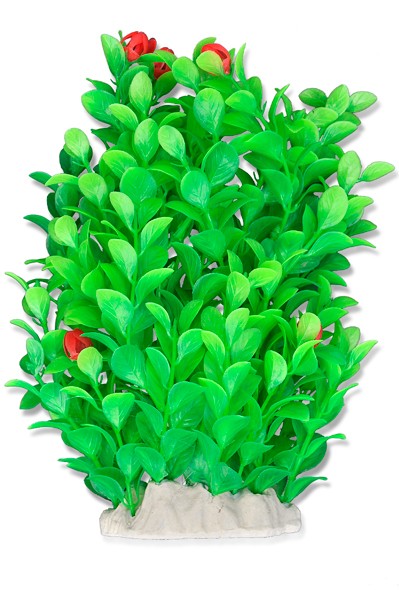 roslina-folia-20cm-2f11-happet