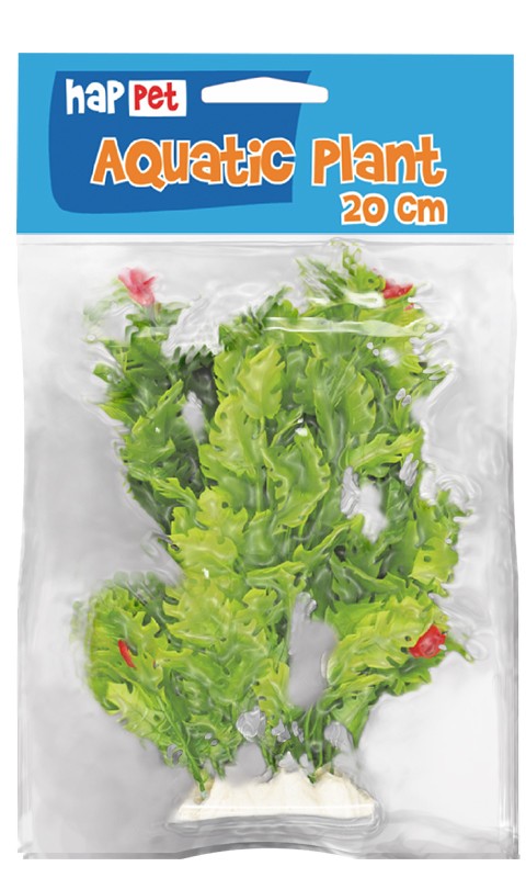 roslina-folia-20cm-2f11-happet