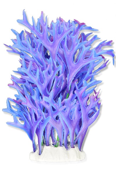 roslina-folia-20cm-2f23-happet