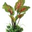 roslina-folia-happet-0f05-mix-zielona