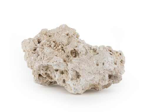 skala-reef-rock-l-20-25-cm-1-kg