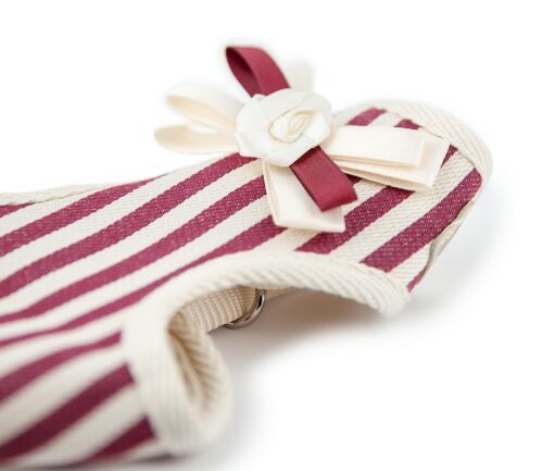 smycz-miekkie-szelki-czerwone-paski