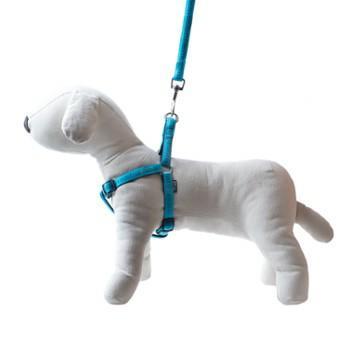 smycz-szelki-soft-style-happet-turkus-l-2-cm