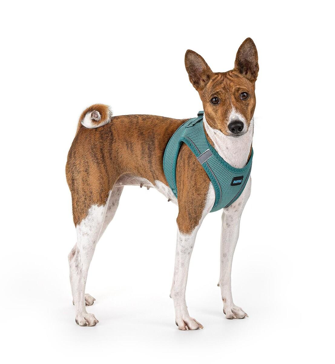 szelki-air-comfort-l-morski