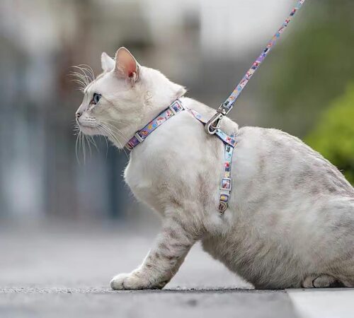 szelki-dla-kota-zielone