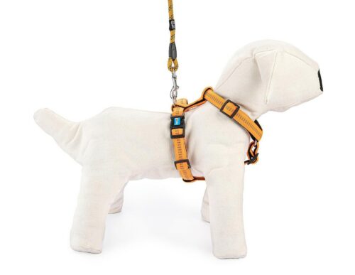 szelki-regulowane-soft-style-l-pomaranczowe