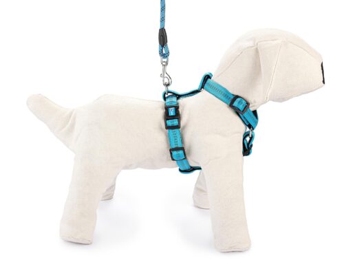 szelki-regulowane-soft-style-xl-niebieskie