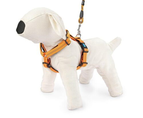 szelki-regulowane-soft-style-xl-pomaranczowe